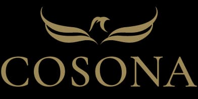 Cosona GmbH - Dresden