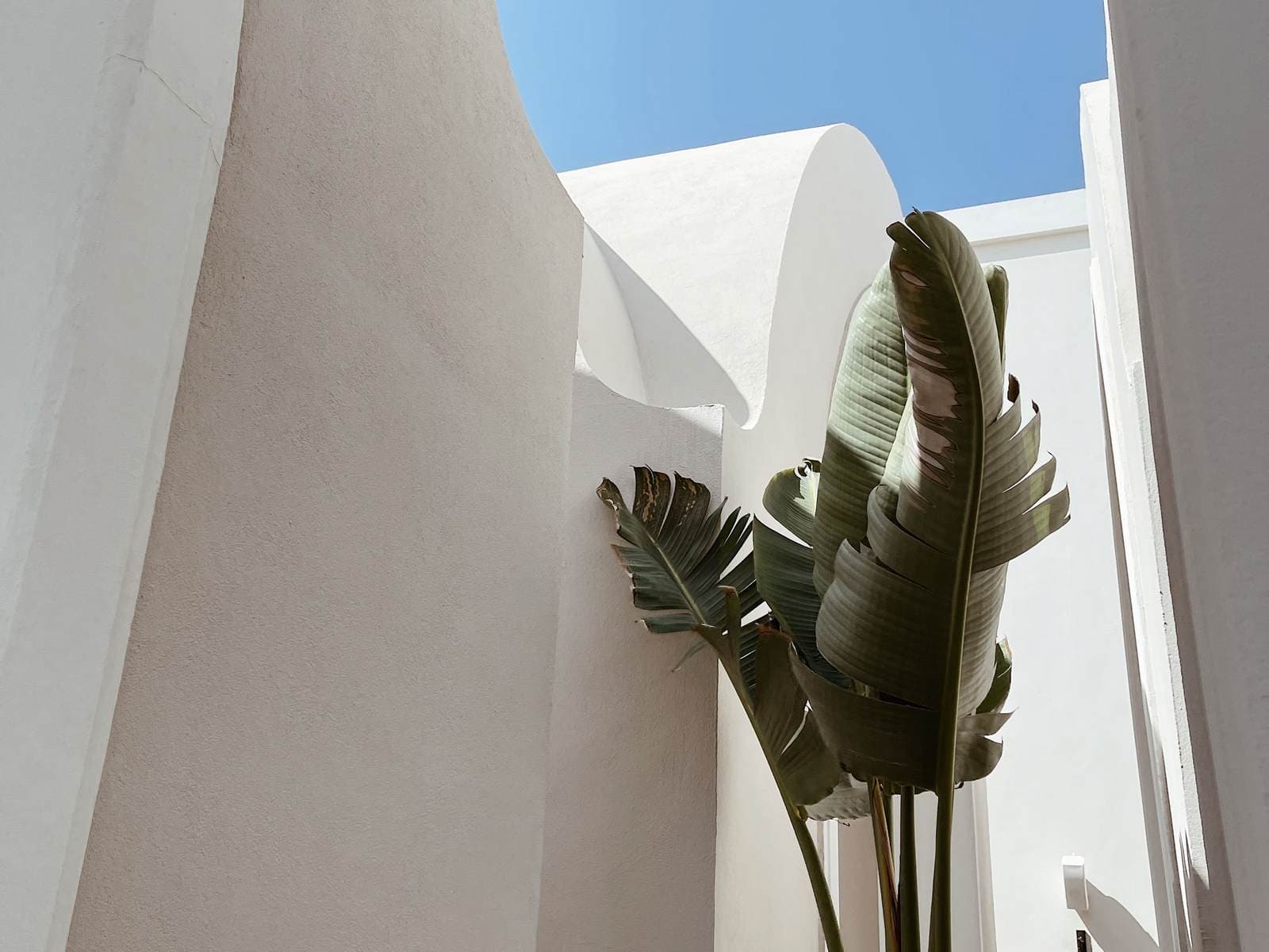 Lucas Fox - Eivissa