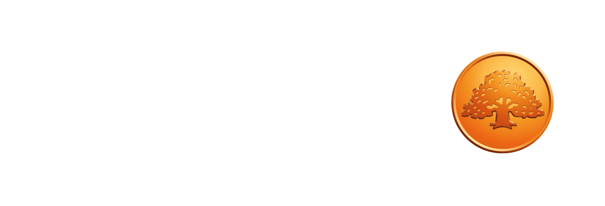 Fastighetsbyrån Nordöstra Göteborg - Göteborg